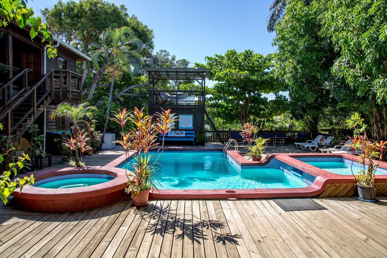 Odoo image and text block