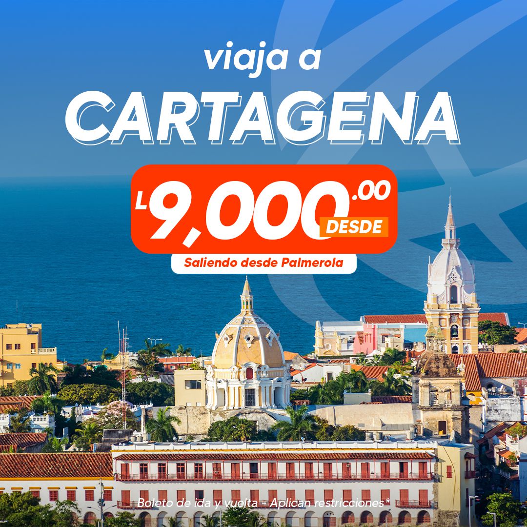 Odoo - Sample 2 for three columns