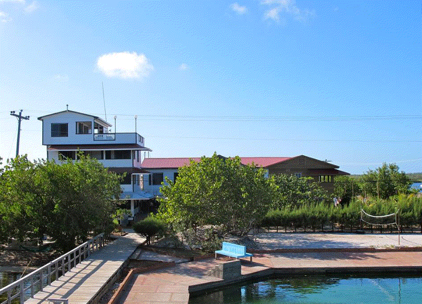 Odoo - Sample 3 for three columns