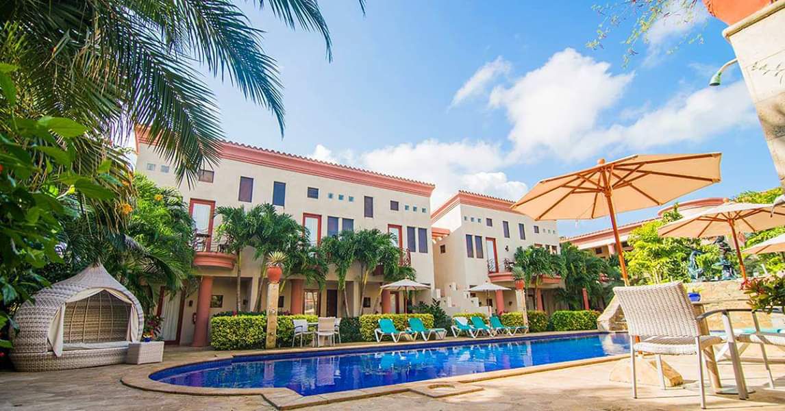 Odoo - Sample 1 for three columns